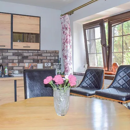 Cozy In With Kitchen Apartment Rydzewo